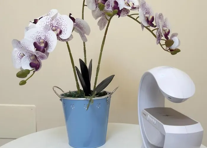 Frühstückspension Hulin Rom